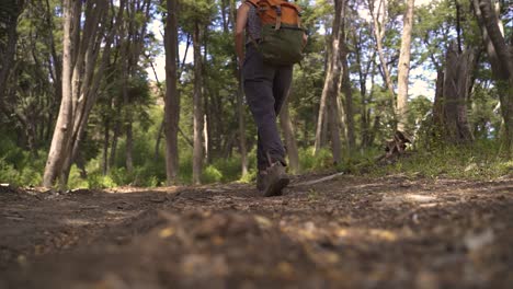 joven mujer blanca con mochila caminando por el bosque a cámara lenta 60fps