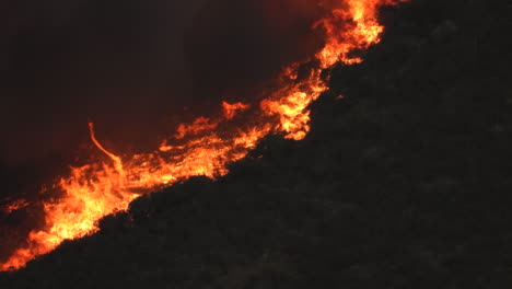 huge fire burning trees and forest in california