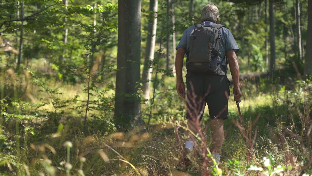 hombre caminando en el bosque