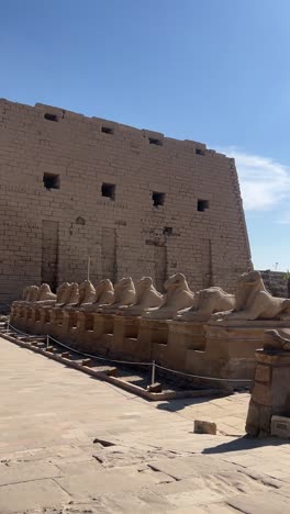 a view of ancient sheep statues, low angle shot
