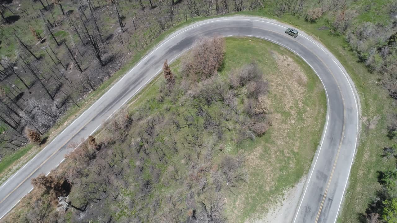 pequeño coche compacto haciendo una curva cerrada en una carretera de montaña rodeada de árboles quemados por el fuego