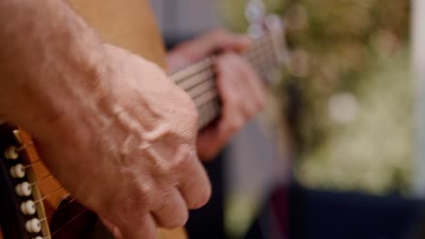 under the sun's gentle warmth, a musician plucks his acoustic guitar amidst his band's performance at a music festival unfolding within the rustic charm of a countryside winery