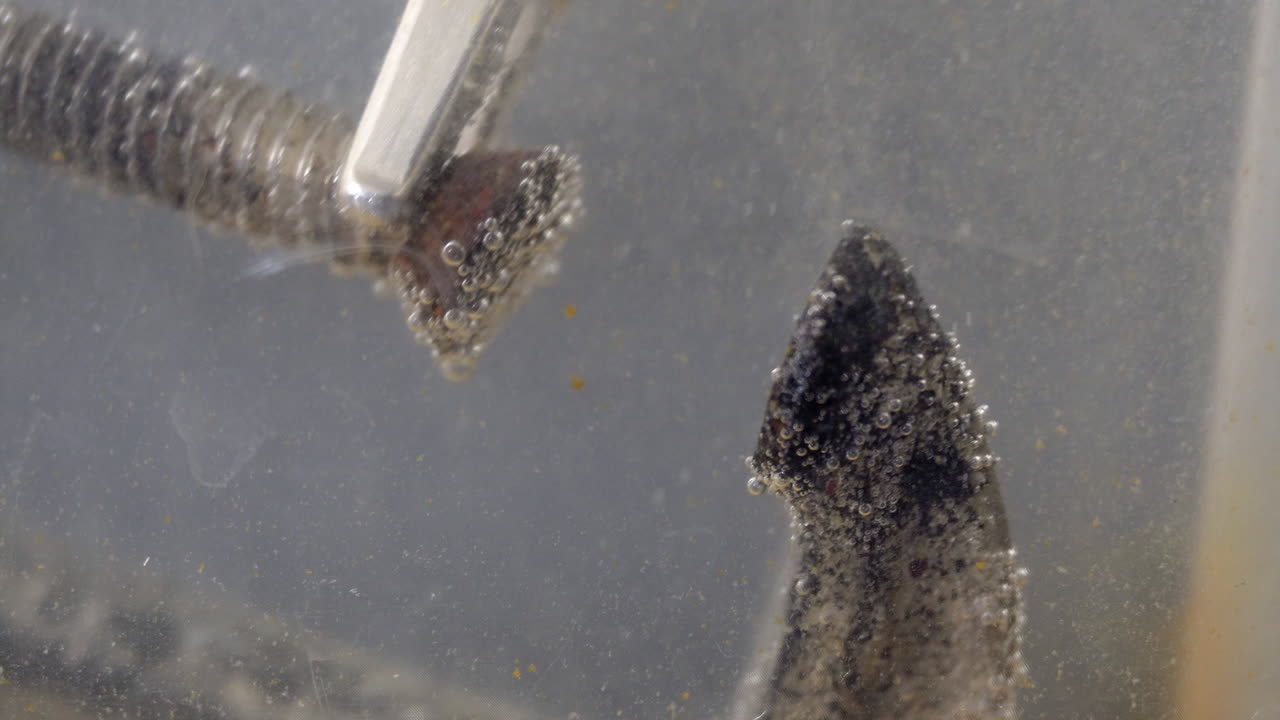 Negatively charged electricity coming through alligator clip to remove rust from c-clamp parts