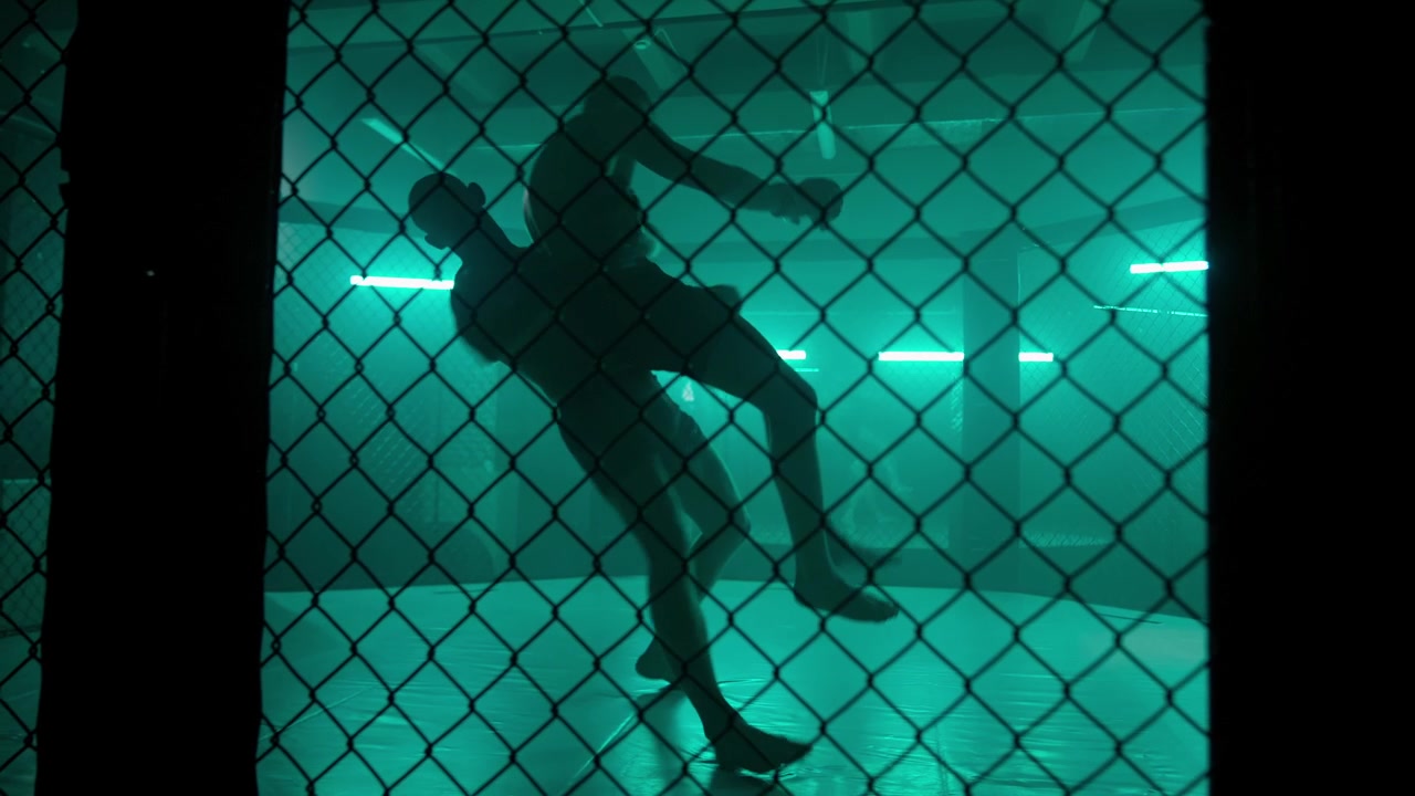 Sagome di due lottatori che eseguono un takedown in una gabbia illuminata di verde