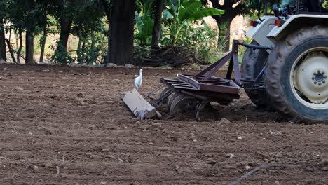 a tractor plowing a field with egrets