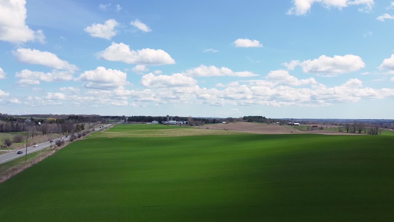 무성한 녹색 농작물과 푸른 하늘이 있는 구불구불한 언덕이 있는 온타리오 시골의 농지