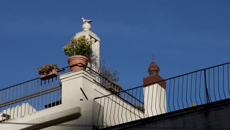 Matera,-Italy-flower-pot-and-porch-looking-up