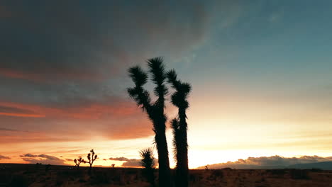 silhouettes of joshua trees on the horizon of the mojave desert during a brilliant sunset - time lapse