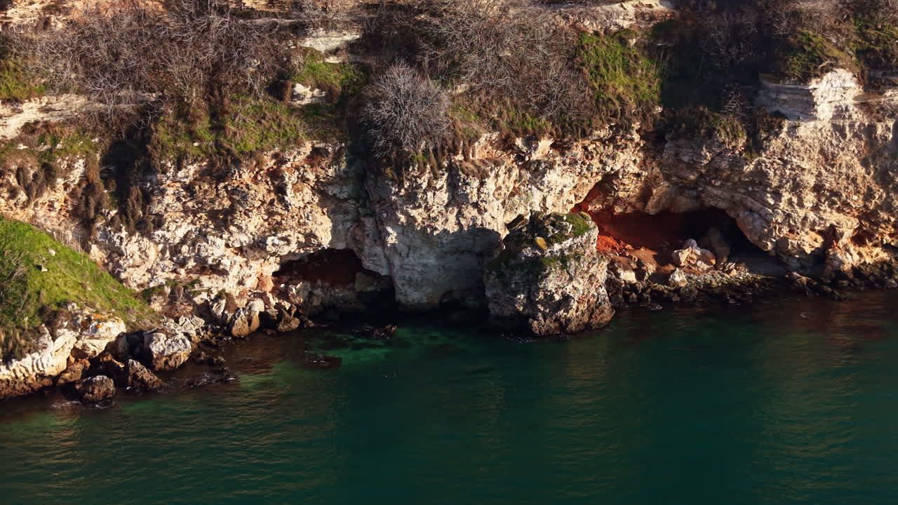 Zona costiera rocciosa con piante che crescono sulle scogliere vicino all'acqua cristallina in un pomeriggio soleggiato
