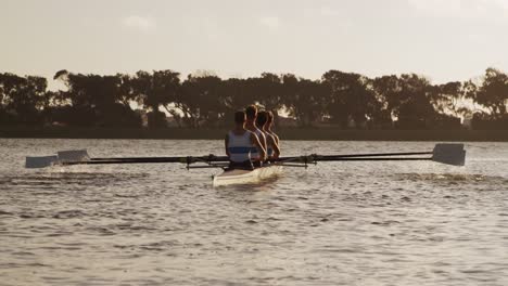 vista trasera del equipo de remadores masculinos remando en el lago