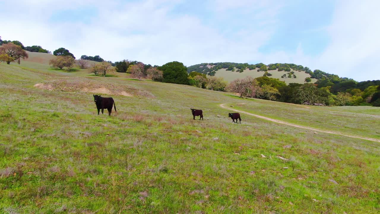 Terras Agrícolas Encantadoras e Joias Escondidas: Descoberta Aérea.
