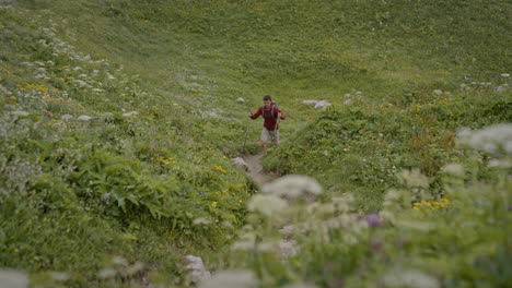 一名年轻的徒步旅行者沿着徒步杆在山上的小径上行走,山上环绕着绿色的草原和<unk>勃发展的阿尔卑斯山花<unk>