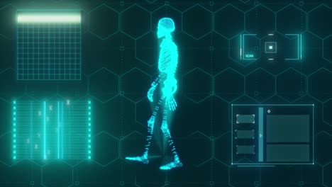 technological concept. walking 3d model of a skeleton on the background of technology. blue color. 3d animation