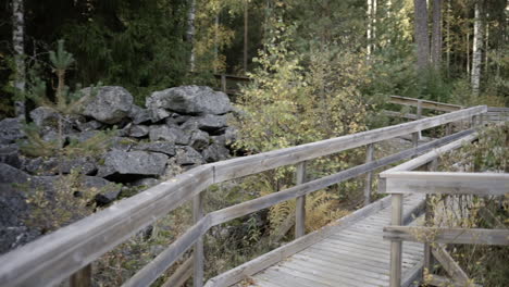 walking at a wharf, in a calm river, surrounded by colorful autumn forest, the sun shines through the trees, at a sunny fall evening, in finland