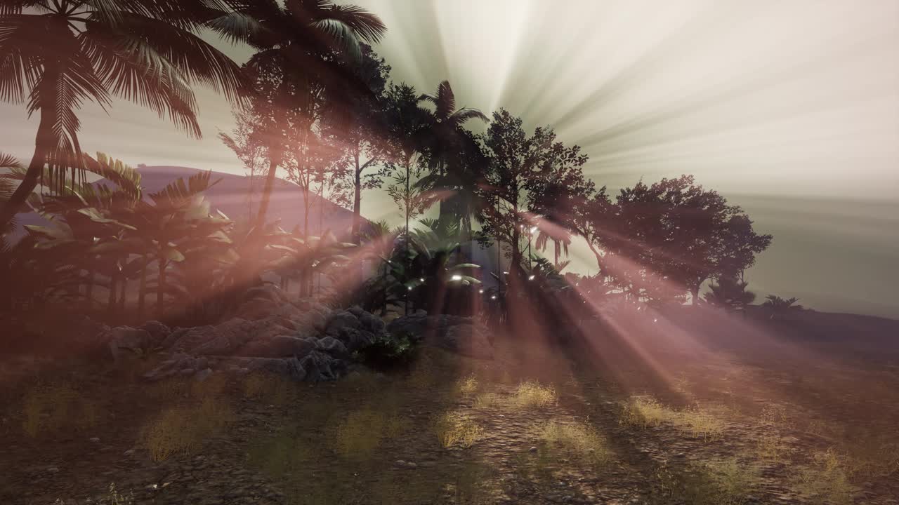 Sunset Beams through Palm Trees