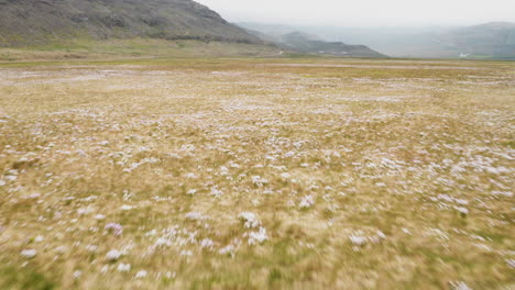 birdseye dolly in shot of a meadow and hills during foggy day in westfjords