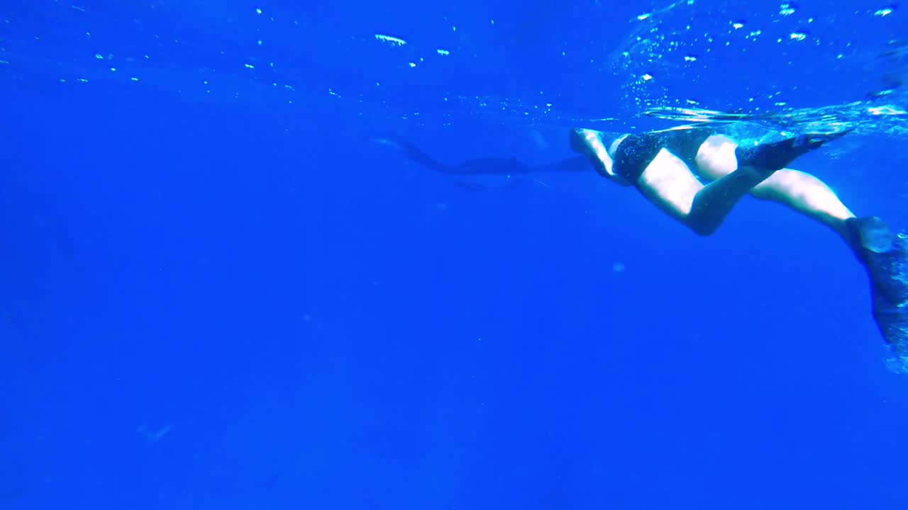 푸른 바다에서 쥐가오리와 함께 수영하는 여자