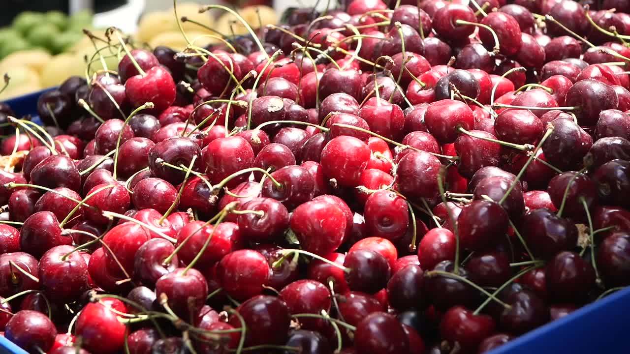Close up of fresh red cherries in a basket