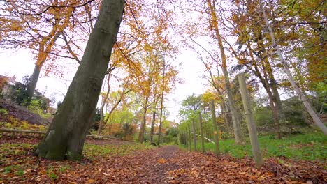 Walking-into-the-forest-in-path-way-next-to-a-fence-and-trees-in-slow-motion