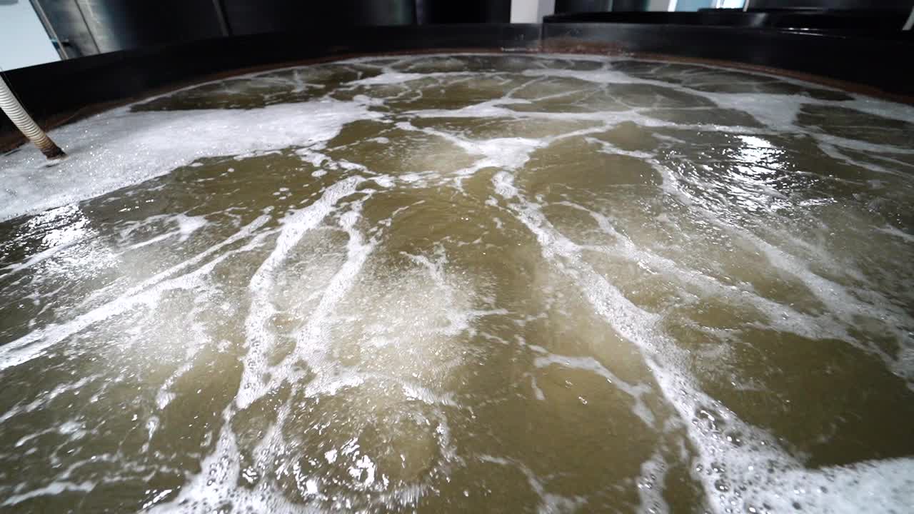 Close-up water on a shrimp farm inside. Shrimp farm pool with oxygen aeration system.