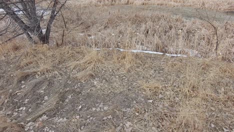 a flight over a dry pond bed and grass in the drought of winter.