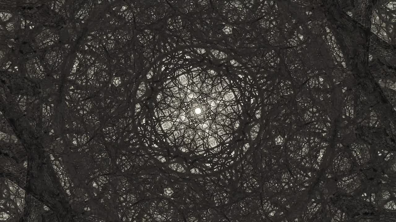 árboles en simetría - en bucle