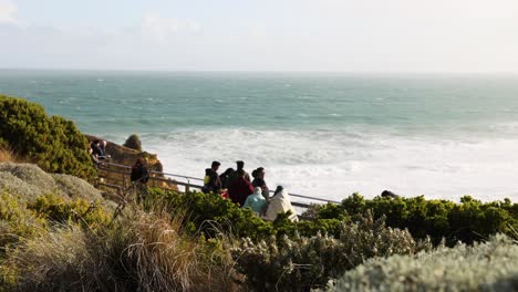 people enjoying scenic coastal view