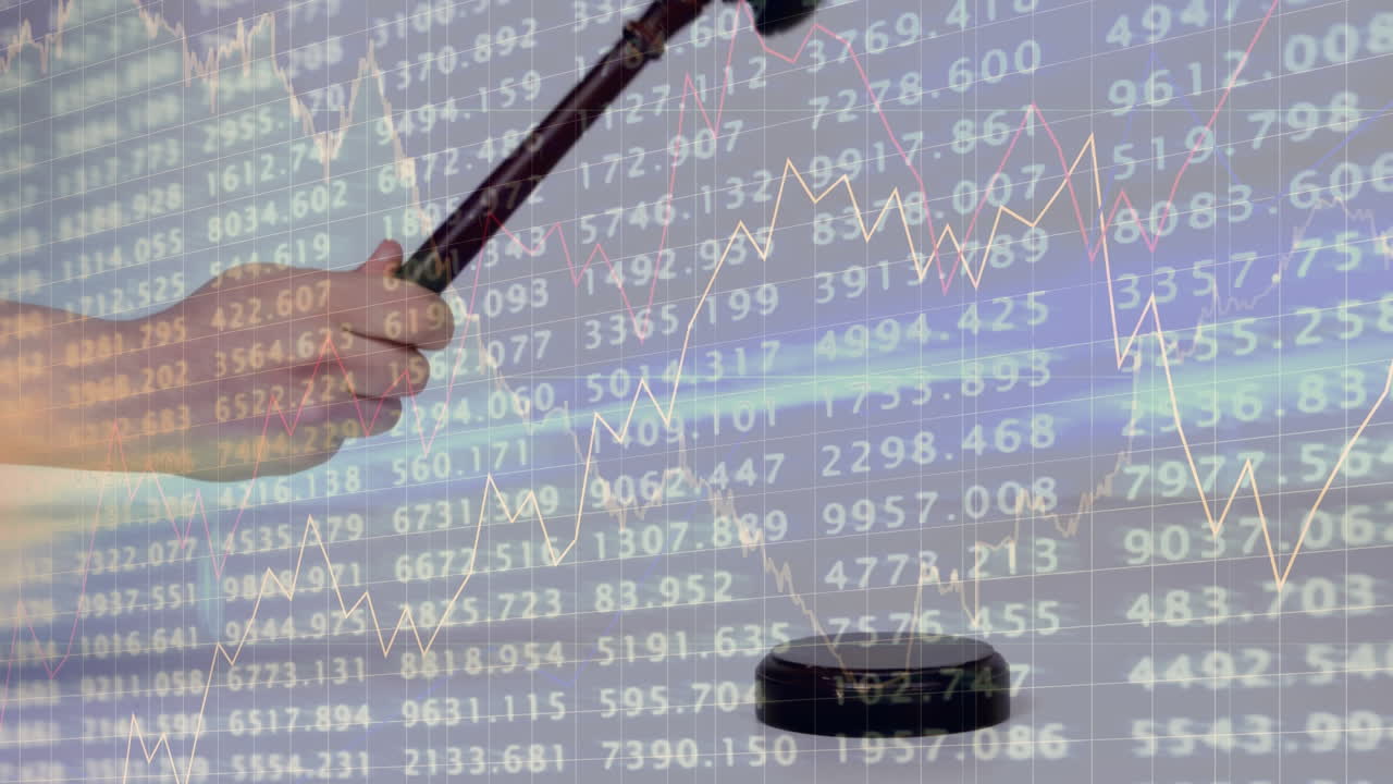 경매관의 망치에 대한 통계 및 금융 데이터 처리의 애니메이션