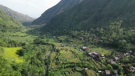 Drone-Volando-Por-Un-Valle-Montañoso-Con-Una-Exuberante-Selva-Verde-Y-Terrazas-De-Arroz-Debajo