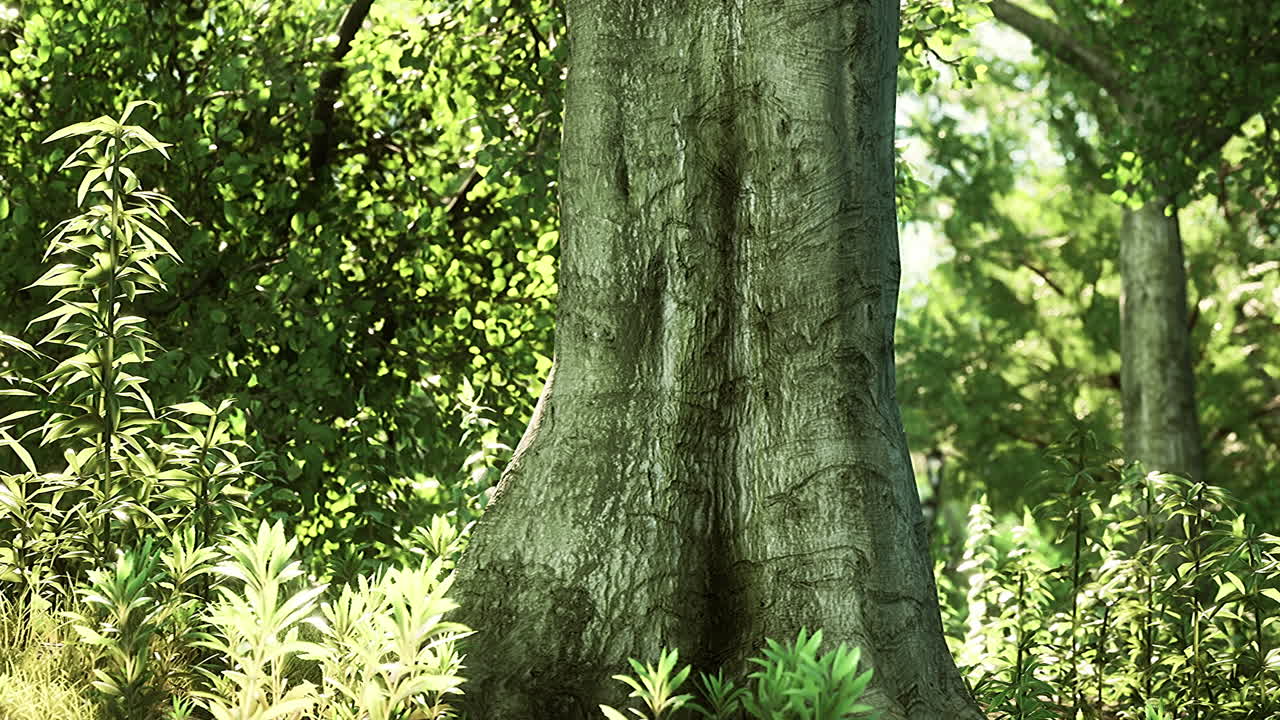 escena de un bosque salpicado de luz solar