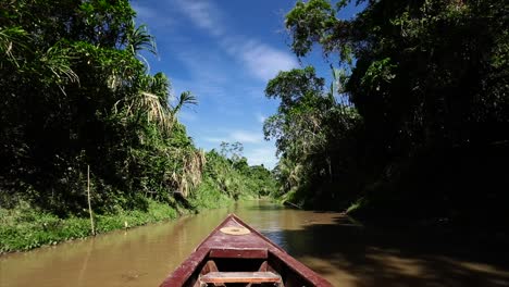 a boat travelling through a small canal in peruvian amazon