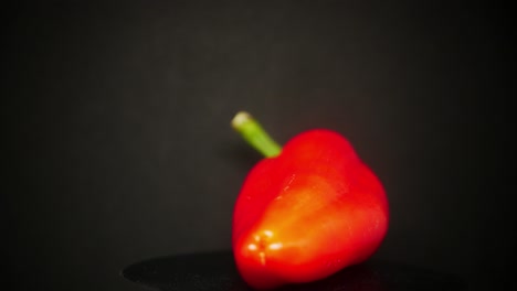 pimiento rojo nutritivo aislado en un fondo negro liso en el estudio - primer plano, tiro giratorio