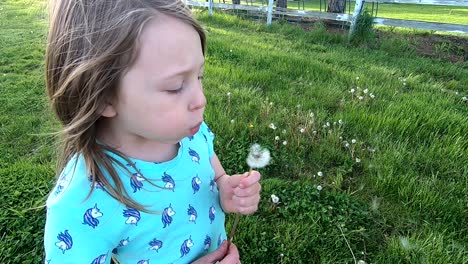 Portrait-of-a-beautiful-girl-blowing-on-the-ripened-dandelion