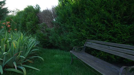 serene garden bench