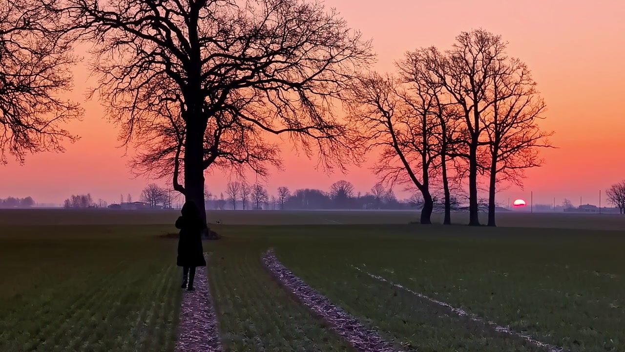 Early morning walk rural sunrise in Jelgava, Latvia farm field nature trail
