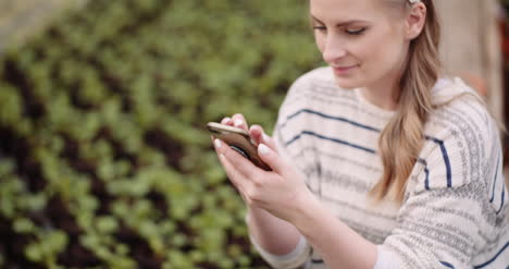 agricultura jardinera femenina usando teléfono móvil en invernadero