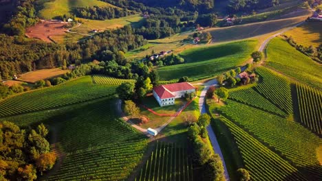 Impresionantes-Imágenes-Aéreas-Con-Drones-4k-De-Prlekija-Filmadas-En-Verano