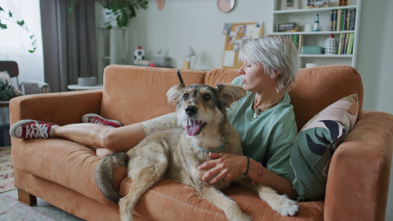 Woman Using Phone and Petting Dog on Couch in Living Room