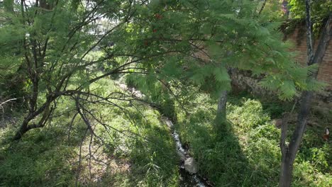 Orbit-shot-of-nature-below-bridge-lens-flare-60fps