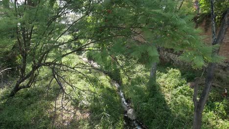 orbit shot of nature below bridge lens flare 60fps