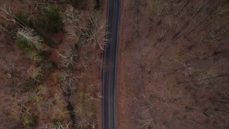 aerial drone video footage top down view of a autumn tree canopy and dirt road adjacent to a stream in the appalachian mountains