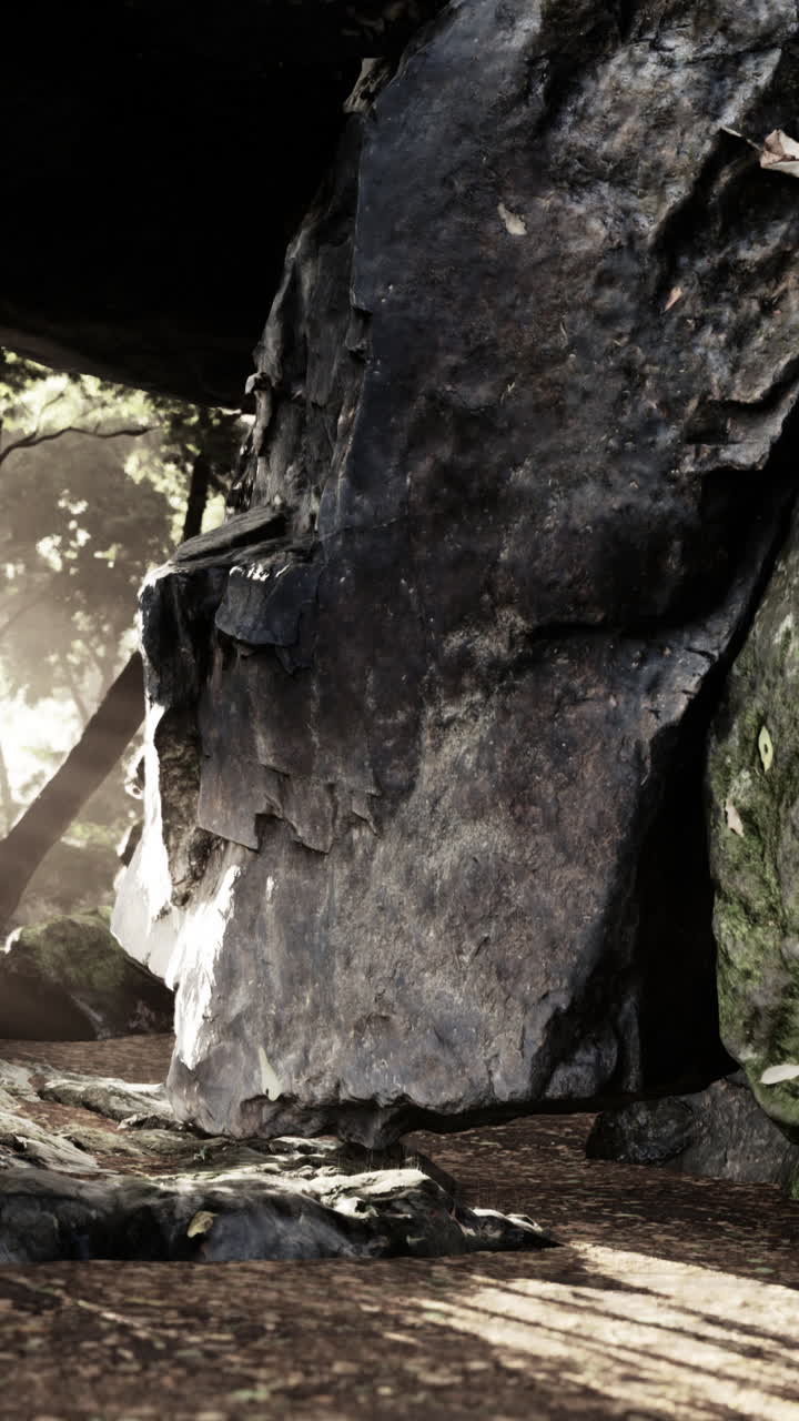 una gran roca en un bosque