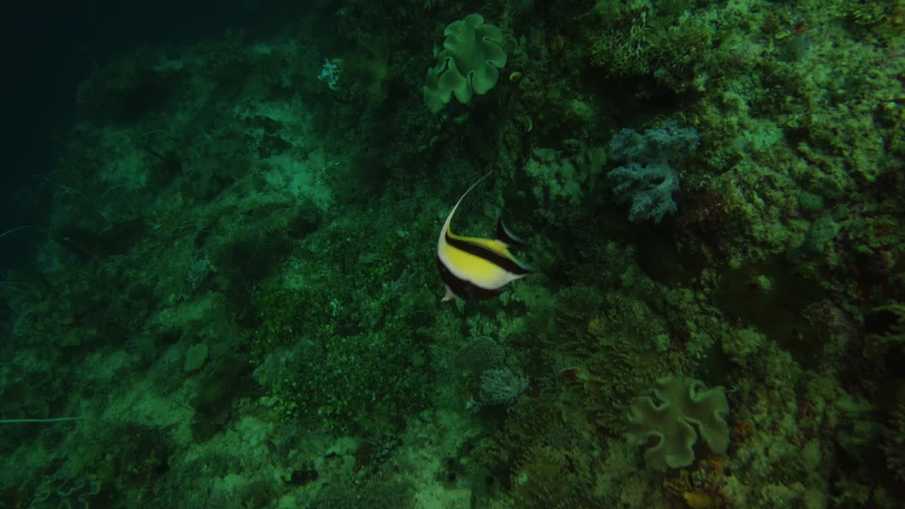 We're patrolling the underworld as usual