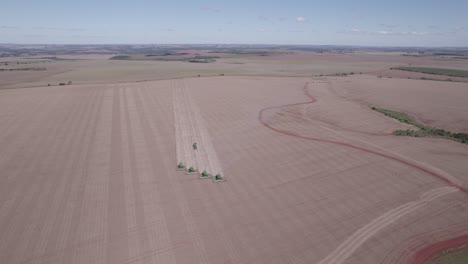 several harvesters harvesting soybeans in brazil