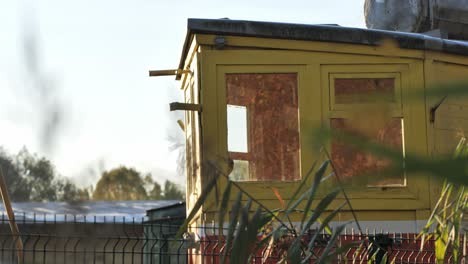 scene shifts from sunlit grass to an old yellow train wagon in the background.