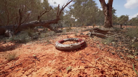 life-ring-buoy-in-desert-beach