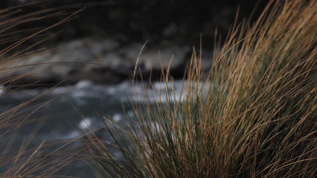 Slow motion rack focus of ocean waves splashing on coastal shore on light grey island rocks during low setting sun. Scenic australian coastline sea low depth of field.