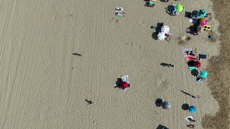 aerial view of a beach with people and umbrellas