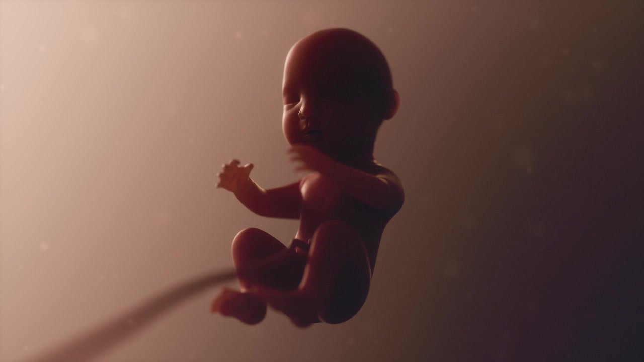 Render 3D di un feto umano con cordone ombelicale