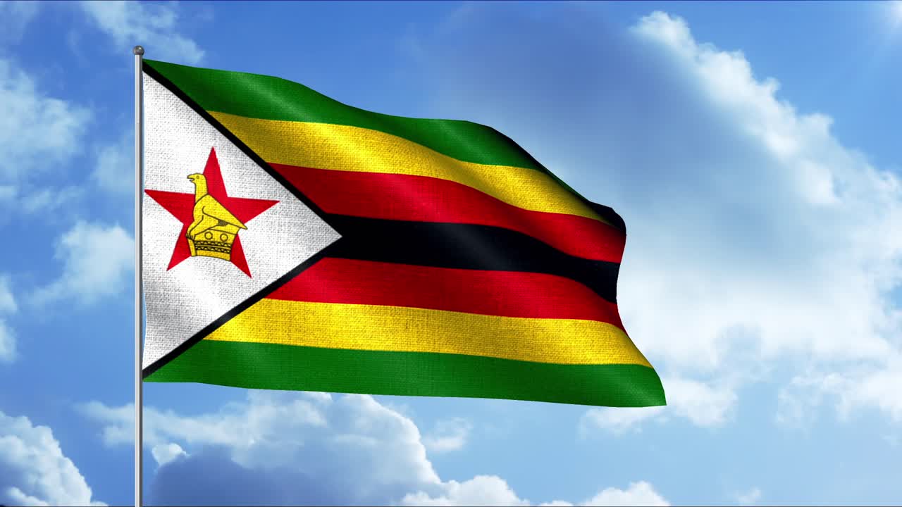 짐바브웨 발이 바람에 흔들리고